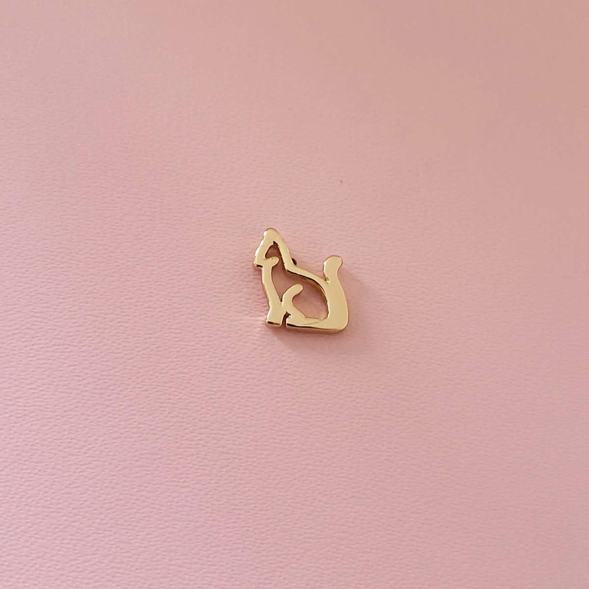 Cat Charm
