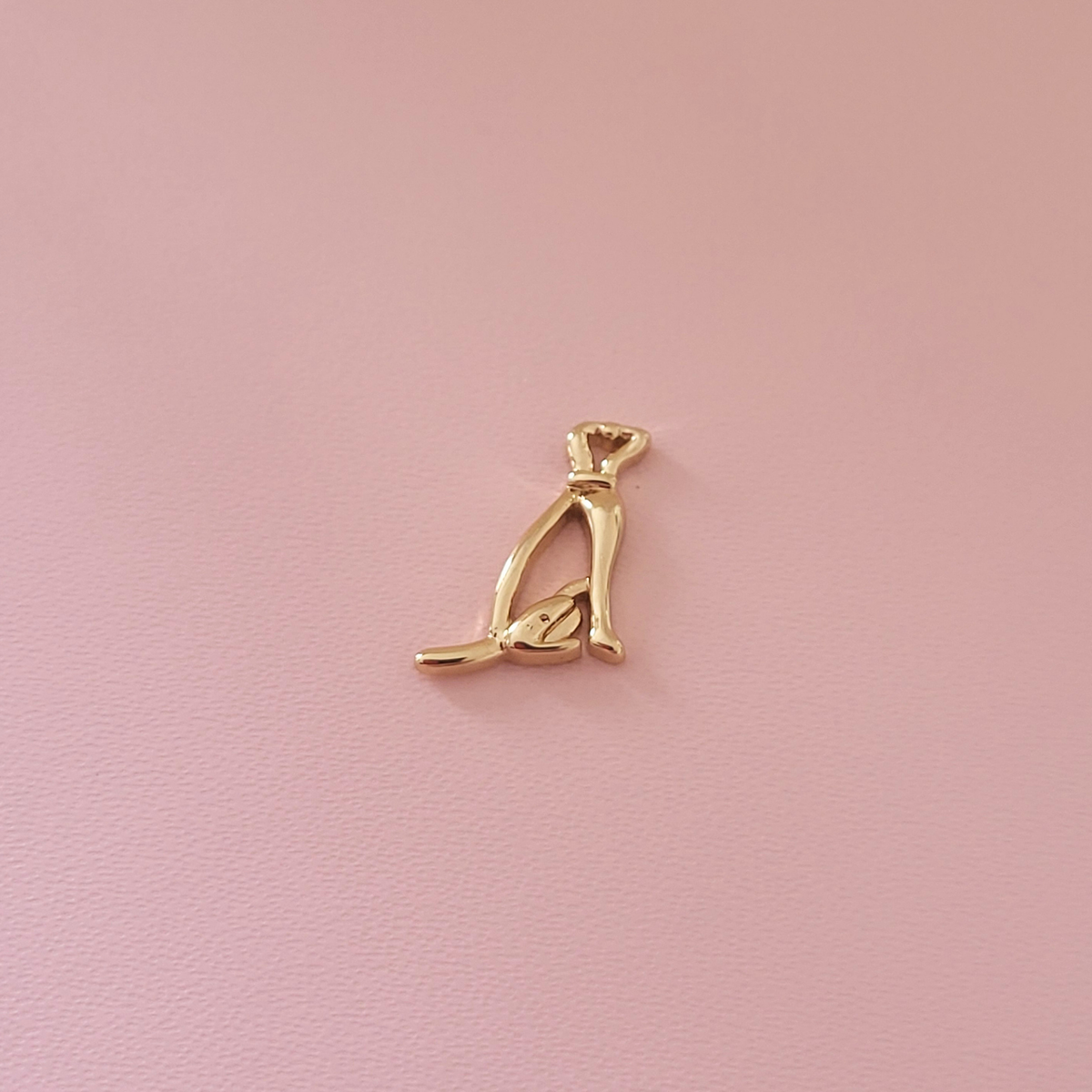 Dog Charm
