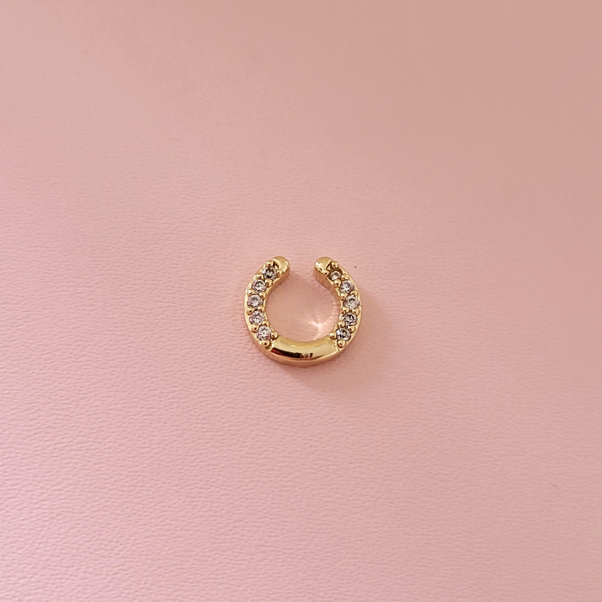 Horseshoe Charm